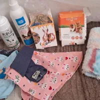 خرگوش لوپی ۸ ماهه سالم نر دو. تومن|موش و خرگوش|خرم‌آباد, |دیوار