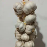 سیر محلی شیرین و باقالا