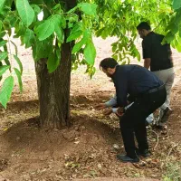 کود کشاورزی با مشاور