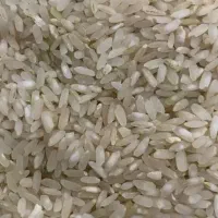 فروش برنج درجه یک