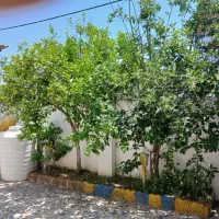 فروش-ویلایی-بسیج-7-دو-خواب-حیاط-دار