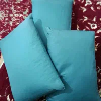 بالشت پر مرغ