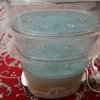 بخارپز تفال (نو)