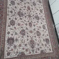 فرش|فرش|شاهنجرین, |دیوار