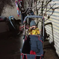 کالسکه درحدنو