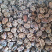 فروش خرمای برحی درجه یک با قیمت مناسب|خوردنی و آشامیدنی|تهران, ائمه اطهار|دیوار