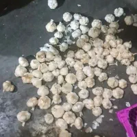 سیردرجه ۱سردخانه ای|خوردنی و آشامیدنی|شهریار, شهریار|دیوار