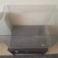 اکواریوم