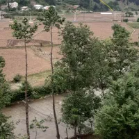 فروش-یا-تهاتر-زمین-3500-متری-در-رودبار-با-ملک