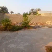 فروش خانه وزمین باغی|فروش خانه و ویلا|برازجان, |دیوار