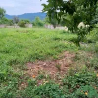 فروش زمین در شاندرمن