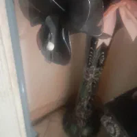 گل وگلدان سالم|گل مصنوعی|محمدشهر, ولدآباد|دیوار