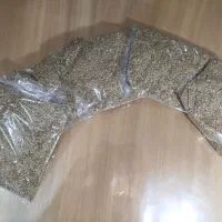 عدس درجه یک