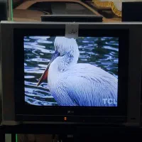 تلویزیون الجی 29ً|تلویزیون و پروژکتور|خوی, |دیوار