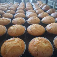 نیازمند نیرو ساده شیرینی پزی