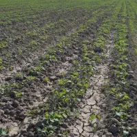 اجاره ۳۰ متری