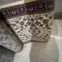 کناره فرشی|فرش|تربت‌حیدریه, باغ سلطانی|دیوار