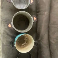 قابلمه و ماهی تابه