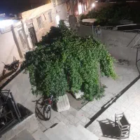 خانه فروشی در صالح اباد