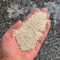 برنج عنبر بو شوشتر درجه یک|خوردنی و آشامیدنی|قم, صفائیه|دیوار