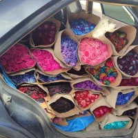 گل  رزهلندی نرگس عمده شهلا شیراز