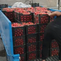 حمل بار