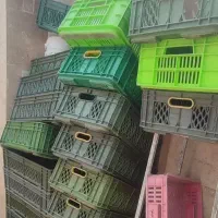 30تاسبد یک جا بفروش میرسد