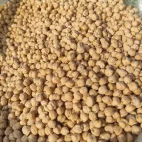 نخود کرمانشاهی خرده و عمده