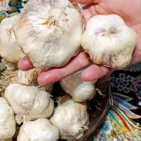 سیر|خوردنی و آشامیدنی|خمین, |دیوار