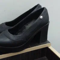 کفش و کیف|کیف، کفش، کمربند|دزفول, |دیوار