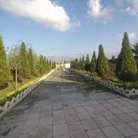 هرس و خدمات باغبانی|خدمات باغبانی و درختکاری|رشت, حومه رشت|دیوار