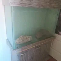 اکواریوم|ماهی|پرند, فاز ۵|دیوار