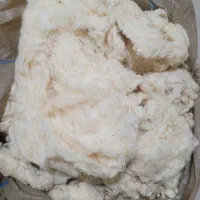 پنبه نو و کهنه+لحاف پنبه ای