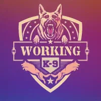 آموزش و تربیت سگ