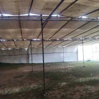 داربست فلزی|خدمات پیشه و مهارت|قروه, |دیوار