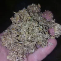تفاله جو|عمده‌فروشی|ارسنجان, |دیوار