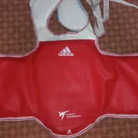 هوگو ورزشی (تکواندو)