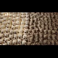 عروسک خرس باکسی ۱۵سانتی و رنگ متنوع|عمدهفروشی|رشت, دروازه لاکان|دیوار