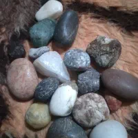 کسی خواست خبری بده