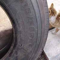 لاستیک اتوبوس|قطعات یدکی و لوازم جانبی|تهران, منیریه|دیوار