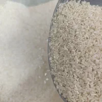 برنج نیمه طارم درجه ۱