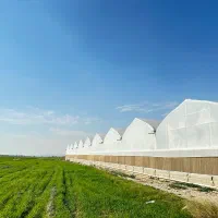 گلخانه صنعتی