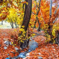 نیازمند پارکینگ برای ماشین