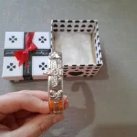 تکپوش نقره طرح هخامنش.