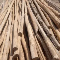 خرید ضایعات وانواع چوب|خدمات باغبانی و درختکاری|میاندوآب, |دیوار