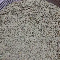 عدس|خوردنی و آشامیدنی|سیروان, |دیوار