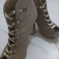 کفش مجلسی
