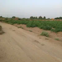 زمین-دو-هکتار-حمیدیه-مسیر-خسرج-روستای-البوعید