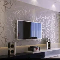 خانم جهت امور منزل و آشپزی