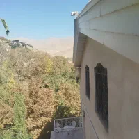 زمین باغ|فروش خانه و ویلا|تلو, |دیوار